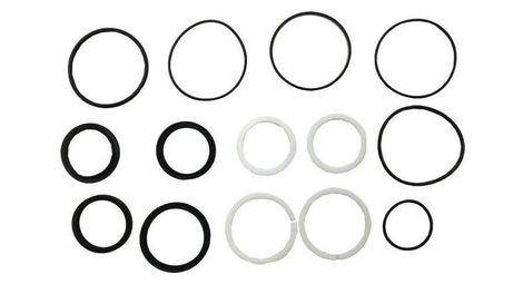 Wss   dvo  topez air can seal kit  1 set