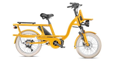 Velo cargo gaya  l incroyable le court  safran  pack solo
