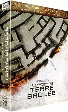 Le Labyrinthe : La Terre Brûlée [Édition Collector Blu-ray + DVD] - Wes Ball Bon état -  reconditionné disponible sur Ammareal