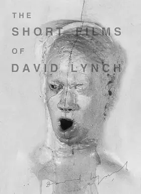 The Short Films of David Lynch [Version Restaurée] - David Lynch Bon état -  reconditionné disponible sur Ammareal