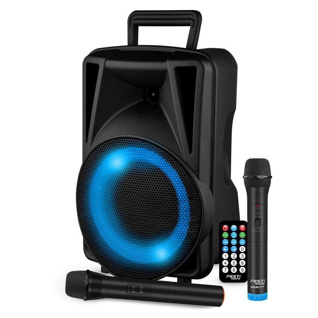Enceintes sono Evidence Acoustics FESTI08 Reconditionné - Evidence Acoustics reconditionné disponible sur Backmarket