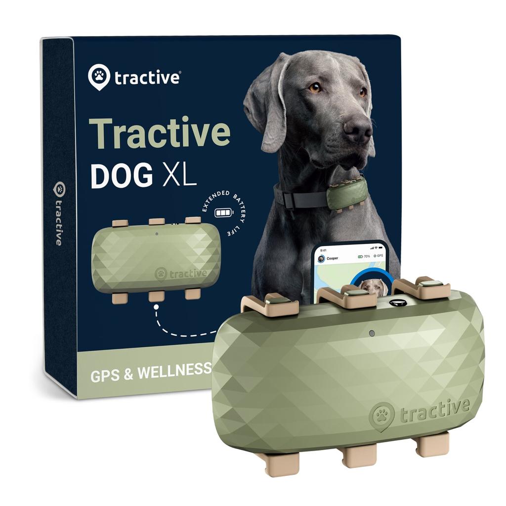 Acheter GPS Tractive TRDOG4XLGR Reconditionné - 29,99 € GPS Tractive TRDOG4XLGR Reconditionné - Tractive reconditionné disponible sur Backmarket