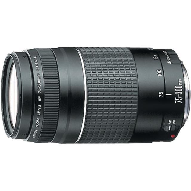 Objectif Canon 75-300mm f/4-5.6 III Canon EF 75-300mm f/4-5.6 Reconditionné - Canon reconditionné disponible sur Backmarket