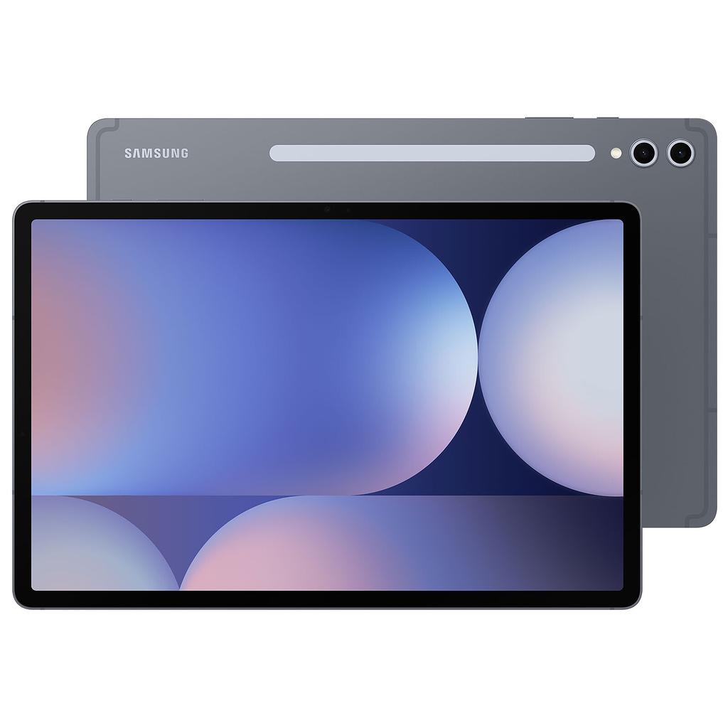 Galaxy Tab S10+ 256GB - Gris - WiFi