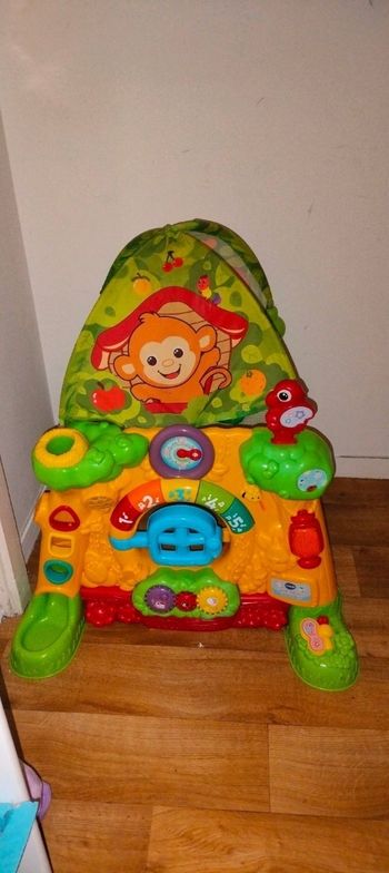 Cabane interactive Vtech