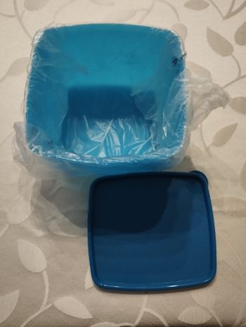 Boite frigo tupperware - Comme neuf sur Beebs