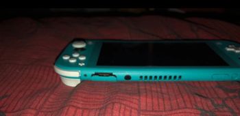 Nintendo switch lite