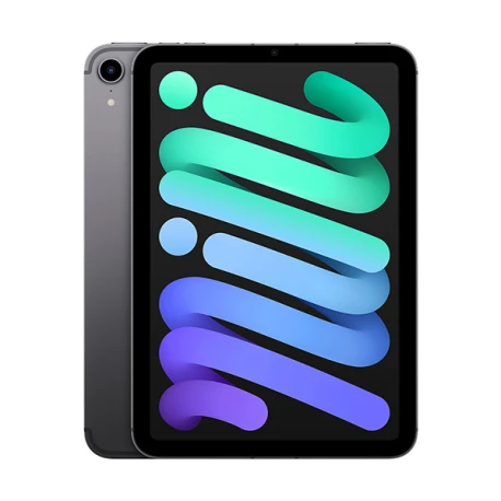 iPad Mini 6 (2021 A15 Series) 64 Go Gris Sidéral - Wifi Bon état -  reconditionné disponible sur Certideal
