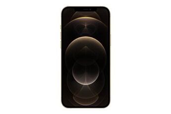 iPhone 12 Pro Max - 5G smartphone - double SIM / Mémoire interne 256 Go - écran OEL - 6.7"" - 2778 x 1284 pixels - 3 x caméras arrière 12 MP, 12 MP, Bon état - Apple reconditionné disponible sur Darty