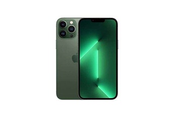 Acheter Smartphone iPhone 13 Pro Max vert 6.70 stockage 128 Go Très bon état - 489,00 € Smartphone iPhone 13 Pro Max vert 6.70 stockage 128 Go Très bon état - Apple reconditionné disponible sur Darty