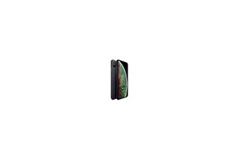 iPhone XS Max 64 Go 6.5"" Gris sidéral Reconditionné avec Batterie Neuve  - Apple reconditionné disponible sur Darty