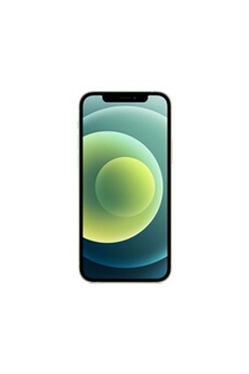 iPhone 12 6,1"" 64 Go Double SIM 5G Vert Bon état - Apple reconditionné disponible sur Darty