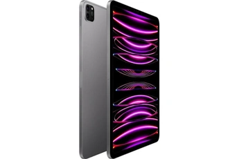 IPAD PRO 12,9 M2 2TO GRIS SIDERAL WI-FI FIN 2022 Très bon état - Apple reconditionné disponible sur Darty