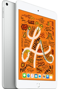 iPad Mini 64 Go WiFi Argent 7.9"" 2019 5 ème génération Bon état - Apple reconditionné disponible sur Darty