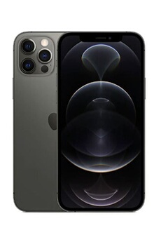 iPhone 12 Pro 6,1'' 256 Go noir Reconditionné Nouvelle batterie Très bon état - Apple reconditionné disponible sur Darty