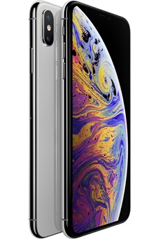 IPHONE XS MAX 512 GO ARGENT Très bon état - Apple reconditionné disponible sur Darty