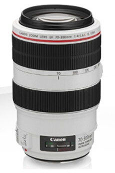EF 70-300mm f/4-5.6L IS USM État correct - Canon reconditionné disponible sur Darty