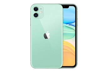 Acheter IPHONE 11 256GO VERT V2 Bon état - 184,00 € IPHONE 11 256GO VERT V2 Bon état - Apple reconditionné disponible sur Darty
