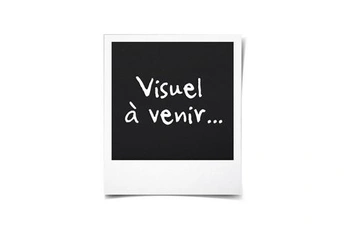 Acheter 23240-56 LUNA ROUGE SOLAIRE Bon état - 79,00 € 23240-56 LUNA ROUGE SOLAIRE Bon état - Russell Hobbs reconditionné disponible sur Darty