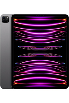 IPAD PRO 12,9 M2 128GO GRIS SIDERAL WI-FI FIN 2022
