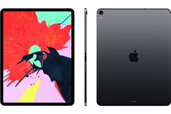 Acheter APPLE IPAD PRO 256 GO WIFI + 4G GRIS SIDERAL 12.9"" Bon état - 485,00 € APPLE IPAD PRO 256 GO WIFI + 4G GRIS SIDERAL 12.9"" Bon état - Apple reconditionné disponible sur Darty