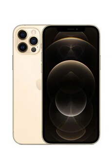 iPhone 12 Pro 6,1'' 128 Go or Reconditionné Nouvelle batterie Très bon état - Apple reconditionné disponible sur Darty