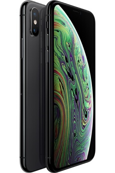 Acheter IPHONE XS 64GB SPACE GREY Bon état - 133,40 € IPHONE XS 64GB SPACE GREY Bon état - Apple reconditionné disponible sur Darty