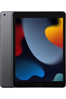 Acheter IPAD 10,2'' 256GO GRIS SIDERAL WIFI 9ème génération 2021 État correct - 357,99 € IPAD 10,2'' 256GO GRIS SIDERAL WIFI 9ème génération 2021 État correct - Apple reconditionné disponible sur Darty