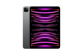 IPAD PRO 11 M2 256GO GRIS SIDERAL WI-FI CELLULAR FIN 2022