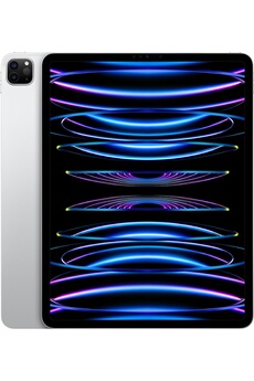 IPAD PRO 12,9 M2 128GO ARGENT WI-FI FIN 2022