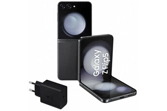 Smartphone Galaxy Z Flip5 Gris 256 GB Octa Core 8 GB RAM État correct - Samsung reconditionné disponible sur Darty