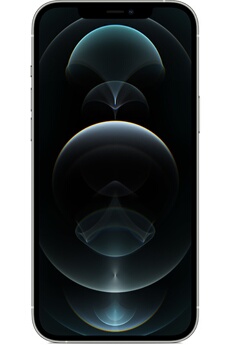 APPLE IPHONE 12 PRO Max 256Go SILVER 5G Très bon état - Apple reconditionné disponible sur Darty