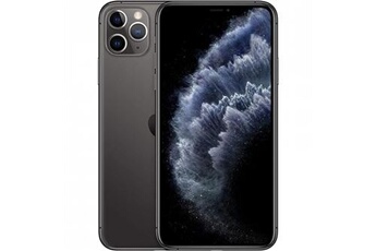 iPhone 11 Pro Max Double SIM 64 Go Gris sidéral Bon état - Apple reconditionné disponible sur Darty