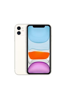 iPhone 11 - 4G smartphone - double SIM / Mémoire interne 64 Go - Ecran LCD - 6.1"" - 1792 x 828 pixels - 2x caméras arrière 12 MP, 12 MP - front