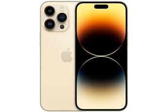 Acheter iPhone 14 Pro Max Double SIM 6,7 256 Go or Reconditionné avec Batterie neuve Très bon état - 570,00 € iPhone 14 Pro Max Double SIM 6,7 256 Go or Reconditionné avec Batterie neuve Très bon état - Apple reconditionné disponible sur Darty