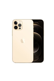 Acheter iPhone 12 Pro Max 6,7 128 Go Double SIM 5G Or - Reconditionné Bon état - 317,00 € iPhone 12 Pro Max 6,7 128 Go Double SIM 5G Or - Reconditionné Bon état - Apple reconditionné disponible sur Darty