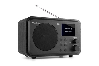 Milan - Radio DAB+ avec Batterie et Bluetooth - Noir Très bon état -  reconditionné disponible sur Darty