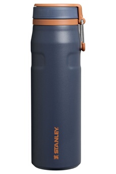 Acheter Twist Flip 0,7 L Gris Bon état - 28,99 € Twist Flip 0,7 L Gris Bon état - Stanley reconditionné disponible sur Darty
