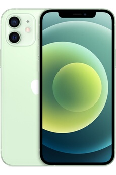 Acheter IPHONE 12 256Go Vert 5G État correct - 259,00 € IPHONE 12 256Go Vert 5G État correct - Apple reconditionné disponible sur Darty