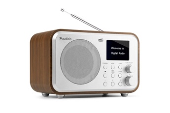 Audizio Milan - Radio DAB+ avec Batterie et Bluetooth - Argent Très bon état - N/A reconditionné disponible sur Darty