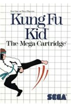 Kung Fu Kid Bon état - Sega reconditionné disponible sur Darty