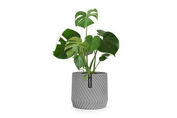 Pot de fleurs Heusden Fox & Fern fait à la main - en polystone - Gris Bon état - Blumfeldt reconditionné disponible sur Darty