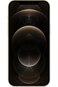 APPLE IPHONE 12 PRO Max 128Go GOLD 5G Très bon état - Apple reconditionné disponible sur Darty