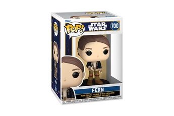 Acheter Figurine Pop Star Wars Skeleton Crew Fern Très bon état - 14,95 € Figurine Pop Star Wars Skeleton Crew Fern Très bon état - Funko reconditionné disponible sur Darty