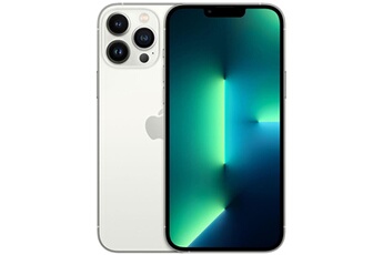 iPhone 13 Pro Max 6,7'' 256 Go Argent Reconditionné avec Batterie neuve Bon état - Apple reconditionné disponible sur Darty