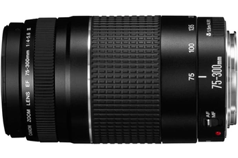 Acheter EF 75-300mm f/4-5,6 III Bon état - 178,00 € EF 75-300mm f/4-5,6 III Bon état - Canon reconditionné disponible sur Darty