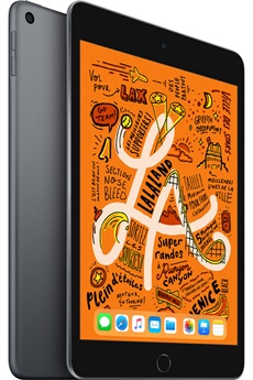 iPad Mini 64 Go WiFi Gris sidéral 7.9"" 2019 5 ème génération