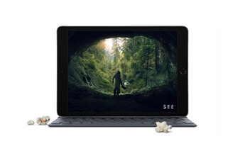 iPad APPLE IPAD 10,2 32GO GRIS SIDERAL WI-FI NOUVEAU (7EME GENERATION Bon état - Apple reconditionné disponible sur Darty
