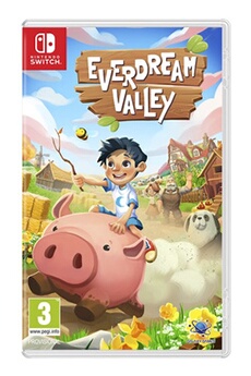 Everdream Valley Nintendo Switch - Bon état Just For Games sur Darty