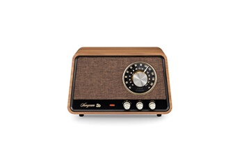 WR-101 AM FM Bluetooth AUX Noyer Vintage